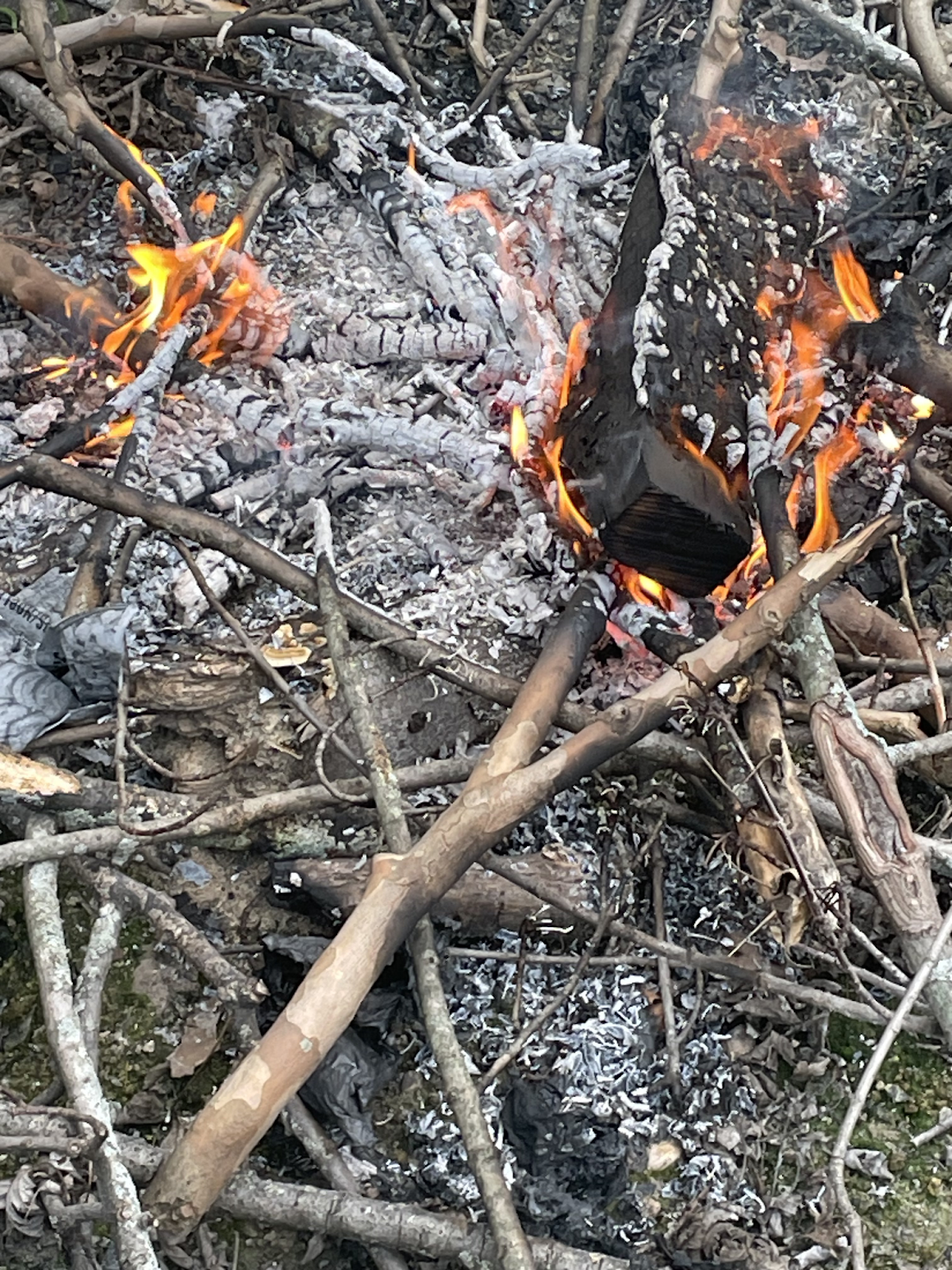 Sticks on fire surrounded by ashes