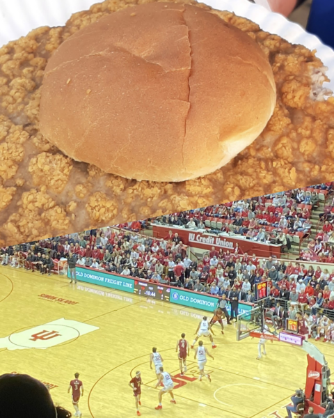 The top half of the image is of a sandwich, while the bottom half is of a basketball game